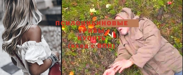 ешки Алексин