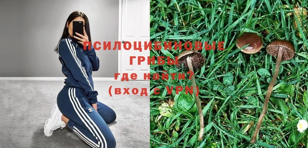 бошки Алексеевка