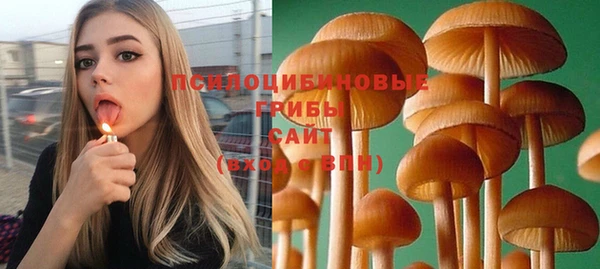 бошки Алексеевка